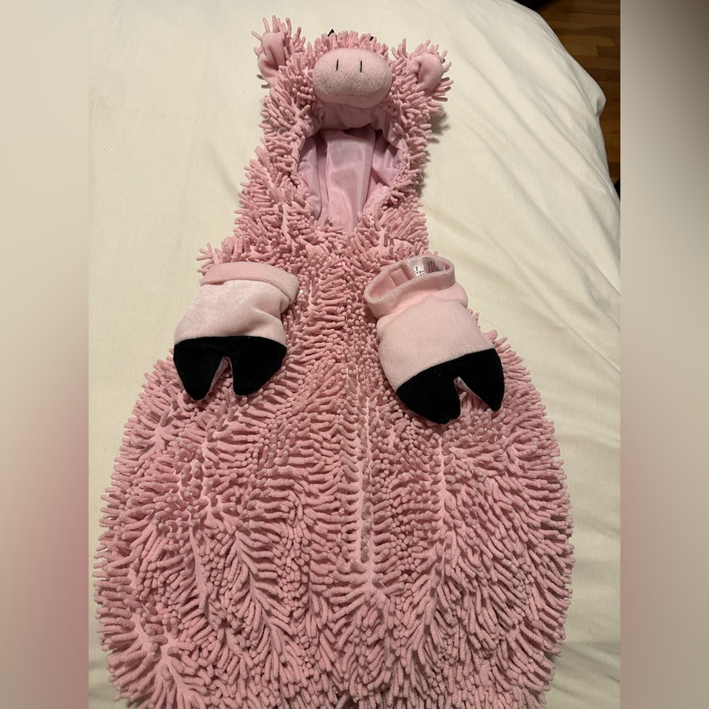 🐽 pig costume 24m 🐷
